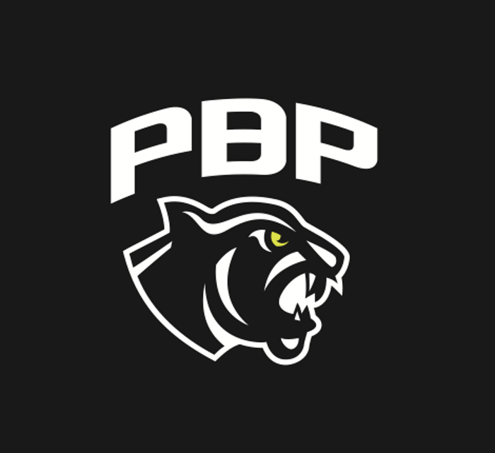 Prague Black Panthers logo